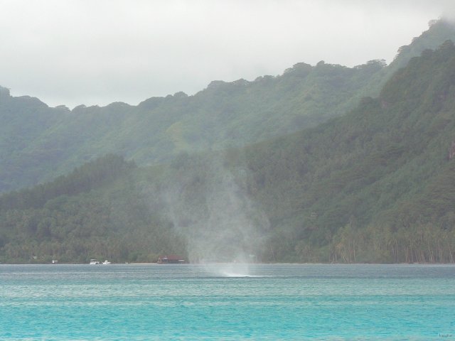 85- Une mini tornade sur le lagon de Tahaa 